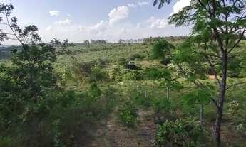 Imagem 3: Chácara 1000m², Energia, Água Encanada, Apenas 6km Centro de Aragoiânia