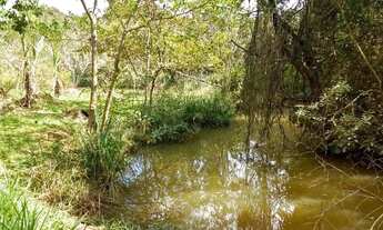 Imagem 4: Chácara com área de 4500 m² em Mateus Leme/MG