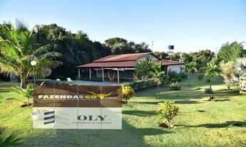 Imagem 7: Chácara de luxo região Bela Vista, 1 alqueire, Ótimo investimento !