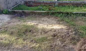 Imagem 4: Vendo ou troco em casa