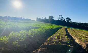 Imagem 3: Terreno em Ibiúna com Fácil Acesso a Mairinque SP