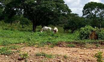 Imagem 2: Lindos lotes a partir de 20.000m2 em Baldim ! Compre sua fazendinha rural !! Agende sua vi