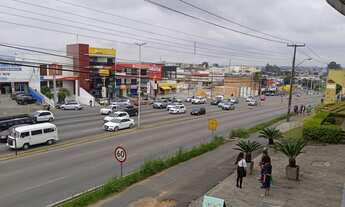 Imagem 3: Excelente Localização Terrenos Planos Próx Sup Rio Verde/Atuba/Ribeira
