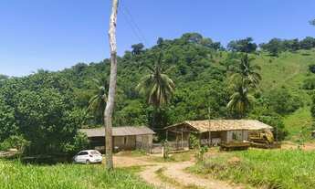 Imagem: Ótima fazenda em Goiás 256 Alqueires