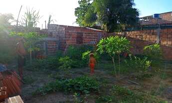 Imagem 4: Vendo terreno em vida Nova loteamento Picuaia