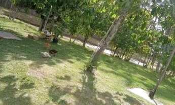 Imagem 2: Lindo sítio em Barcarena