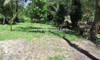 Imagem 7: Sítio em Agro-Brasil com excelente localização