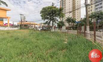 Imagem 7: São Paulo - Terreno Padrão - Vila Romana