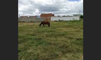 Imagem 5: Vendo 2 terrenos 8x20 casa, próximo ao SESI em Caruaru