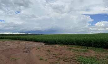 Imagem 2: Fazenda 180ha entre Amambai e Coronel Sapucaia-MS