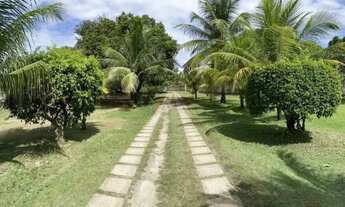 Imagem 4: ALUGUEL PONTA DO MANGUE MARAGOGI-AL