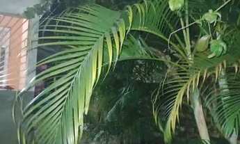 Imagem 4: Vendo uma casa Casa com 1 dormitório