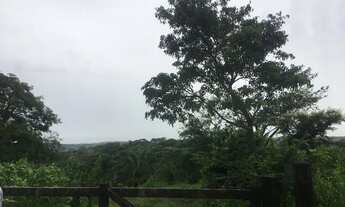 Imagem 4: Oportunidade 4 alqueires e meio