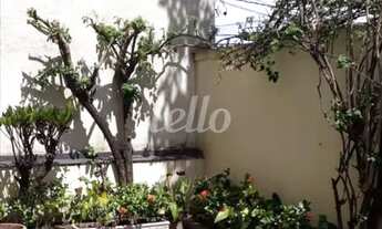 Imagem 5: São Paulo - Casa Comercial - Ipiranga