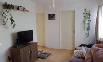 Imagem: Aluguel de apartamento para dividir somente