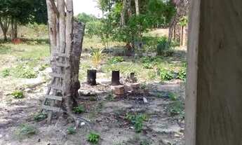 Imagem 5: Sítio Chácara com venda por R$180.000