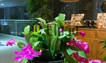 Imagem 7: Apartamento com 3 dormitórios, sendo 3 suítes, 4 vagas, 260,00m² em Vila Andrade, São Paul