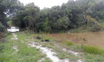 Imagem 2: Terreno com lagoa e asfalto na porta