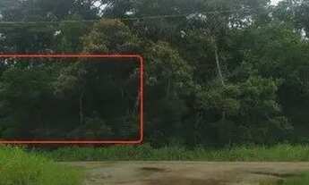 Imagem 2: Terreno próximo ao mar