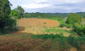 Imagem 3: Terreno e sitios a venda