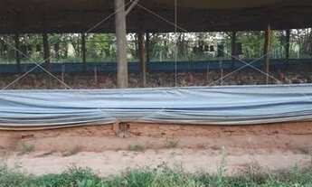 Imagem: Sitio de 2 alqueires com produção de frangos