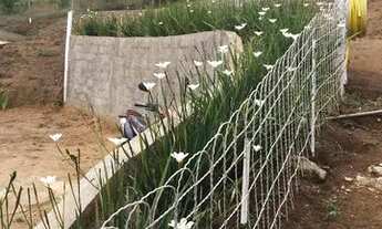 Imagem 2: Venda de Casa - Cardinot