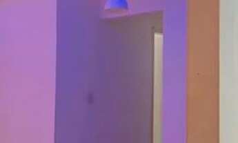 Imagem: Alugo apartamento bosque da aldeia