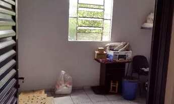 Imagem 4: Aluga se Ponyo Comercial