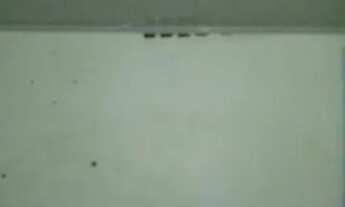 Imagem 2: Casa marechal rondon