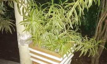 Imagem 2: Casa Casa com 3 dormitórios