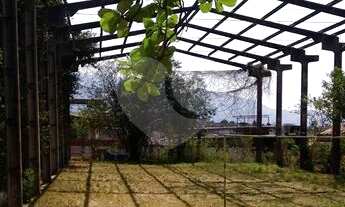 Imagem 7: Terreno - 6275m² - Anchieta [ME