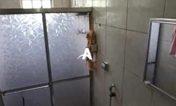 Imagem 7: Casa à venda, 3 quartos, 3 vagas, TOCANTINS - Uberlândia/MG