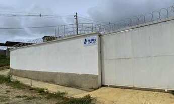 Imagem 7: Terreno em Grama