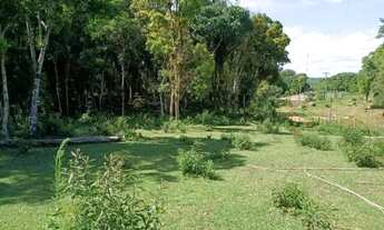 Imagem 6: Chácara no matulão região de tijucas do sul pr