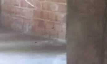 Imagem 2: Vende-se este imóvel - Rua Santa Luzia - Palitolândia (Irmã Dulce