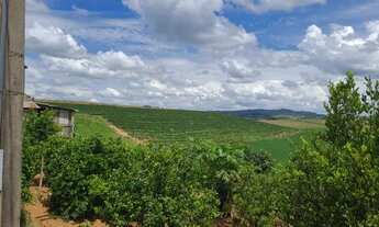Imagem 4: Fazenda / Sítios / Chácaras com 2 dormitórios à venda em Machado