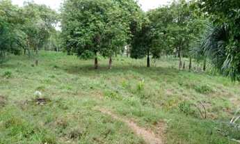 Imagem 6: Vende-se 3 chácara 350000