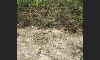 Imagem 6: Vendes casa em irara