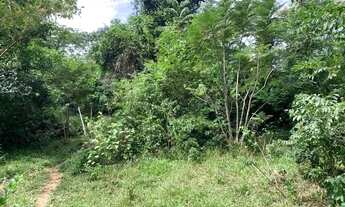 Imagem 6: Terreno rural 2,3ha com rio nos fundos Jaboticatubas