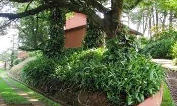 Imagem 3: CHACARA - VILA CAPUAVA - SP