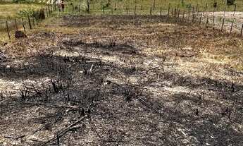 Imagem 2: Terreno 20x40 no povoado Gravatá em Santo Amaro das Brotas /SE