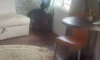 Imagem 7: CASA DE PRAIA BEIRA MAR DO PONTAL DO PEBA PIAÇABUÇU ALAGOAS