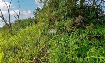 Imagem 5: Vendas Terreno Colombo PR