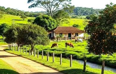 Imagem 2: Fazenda é aqui mesmo!