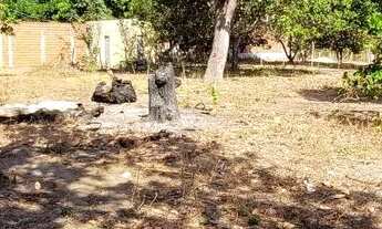 Imagem 3: Terreno 59x35 Terreno / lote com venda por R$180.000