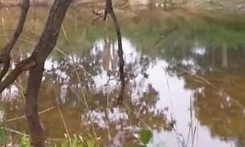 Imagem 6: Fazenda Amorinopolis 7 Alqueires Chácara à Venda, 338000.00 por R$ 1450000.00 AD7874