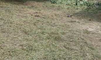 Imagem 4: Terreno para venda e aluguel com 1548m² em Guarulhos