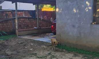 Imagem 2: Casa no Ramal da palheira (canil