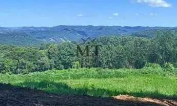 Imagem 3: Área de terra bairro Quatro Cantos, Picada Café.RS REF: 333