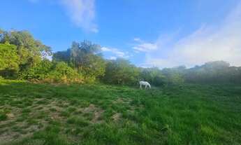 Imagem 3: Imóvel para venda possui 2000 metros quadrados em Água Branca (Bacaxá) - Saquarema - RJ